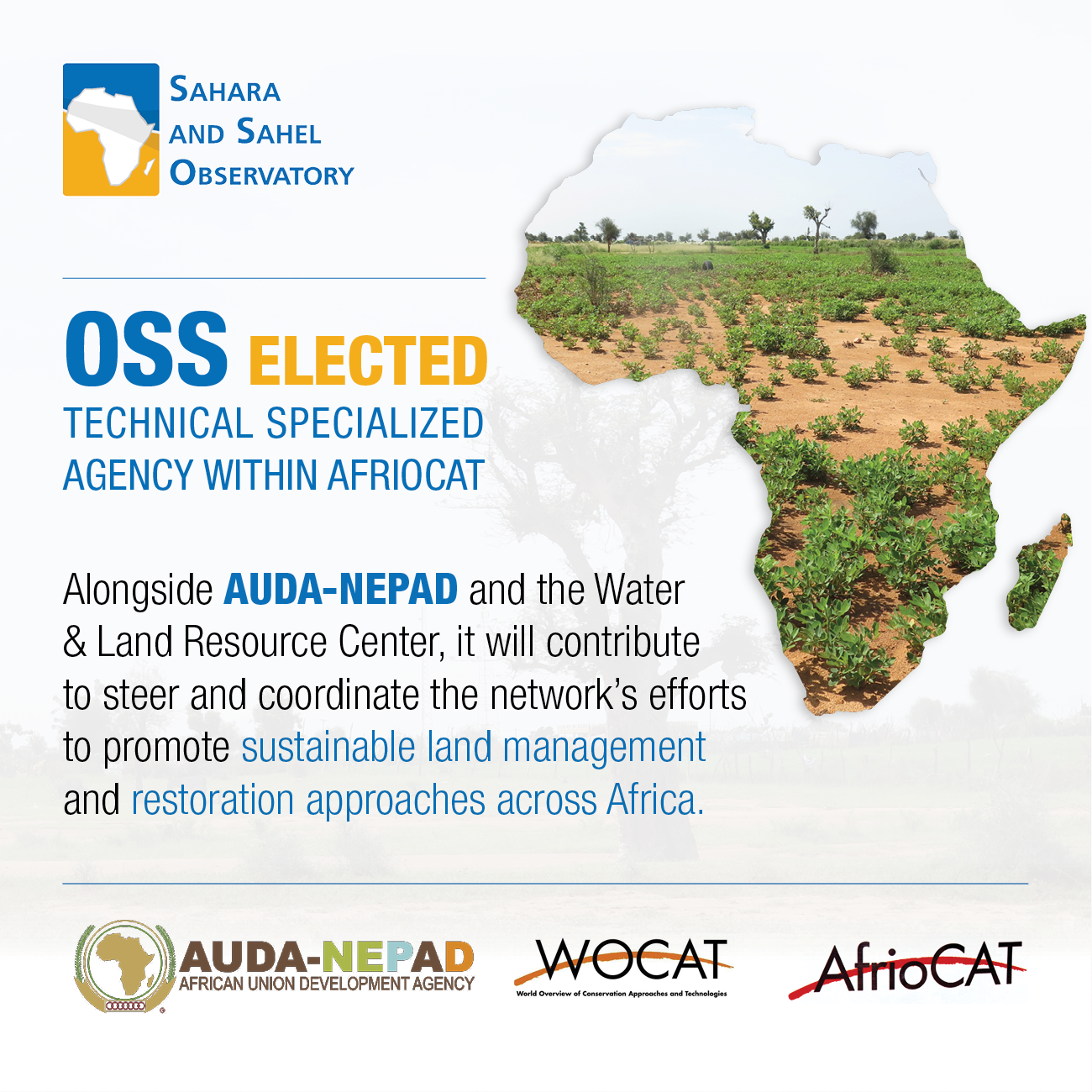  OSS Elected to the AfrioCAT Regional Coordination Team
