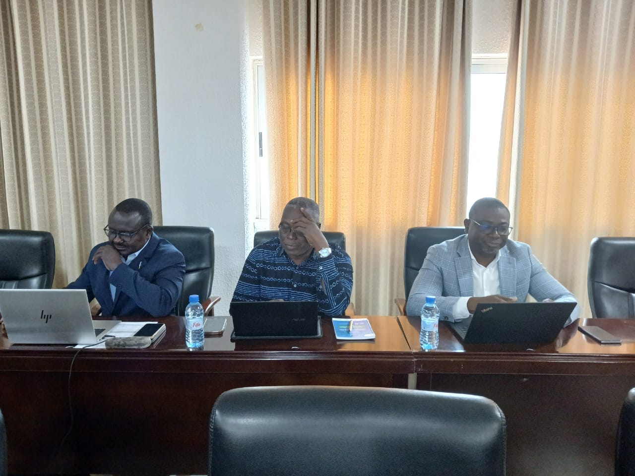 IREE-Mono : bilan et perspectives au cœur de la quatrième réunion du Comité régional de pilotage