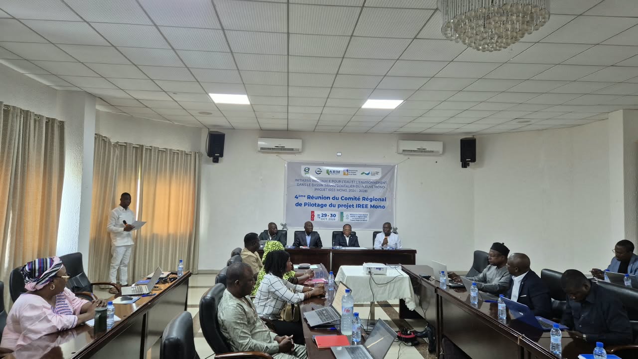 IREE-Mono : bilan et perspectives au cœur de la quatrième réunion du Comité régional de pilotage